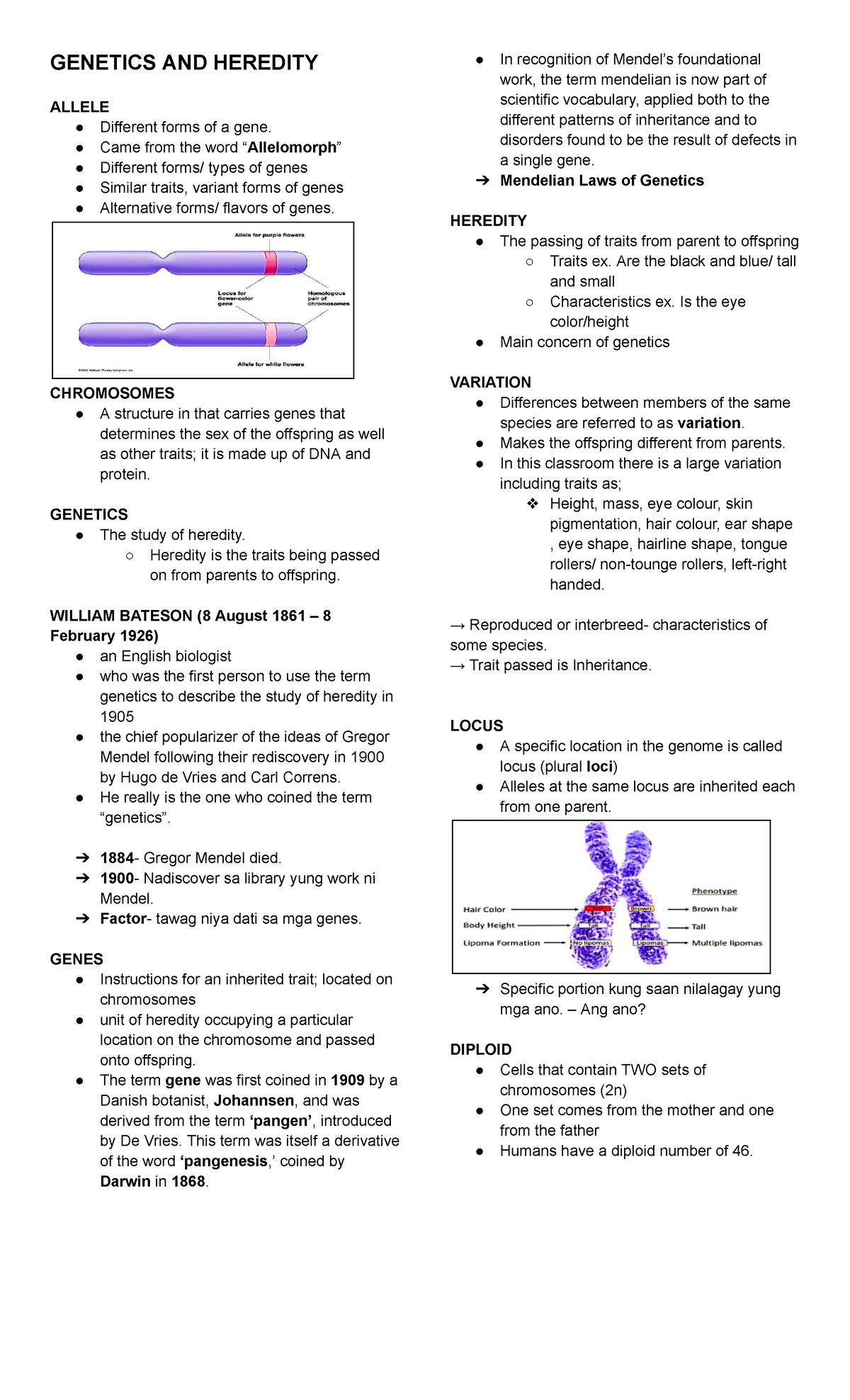 Genetics-AND- Heredity - GENETICS AND HEREDITY ALLELE Different forms ...