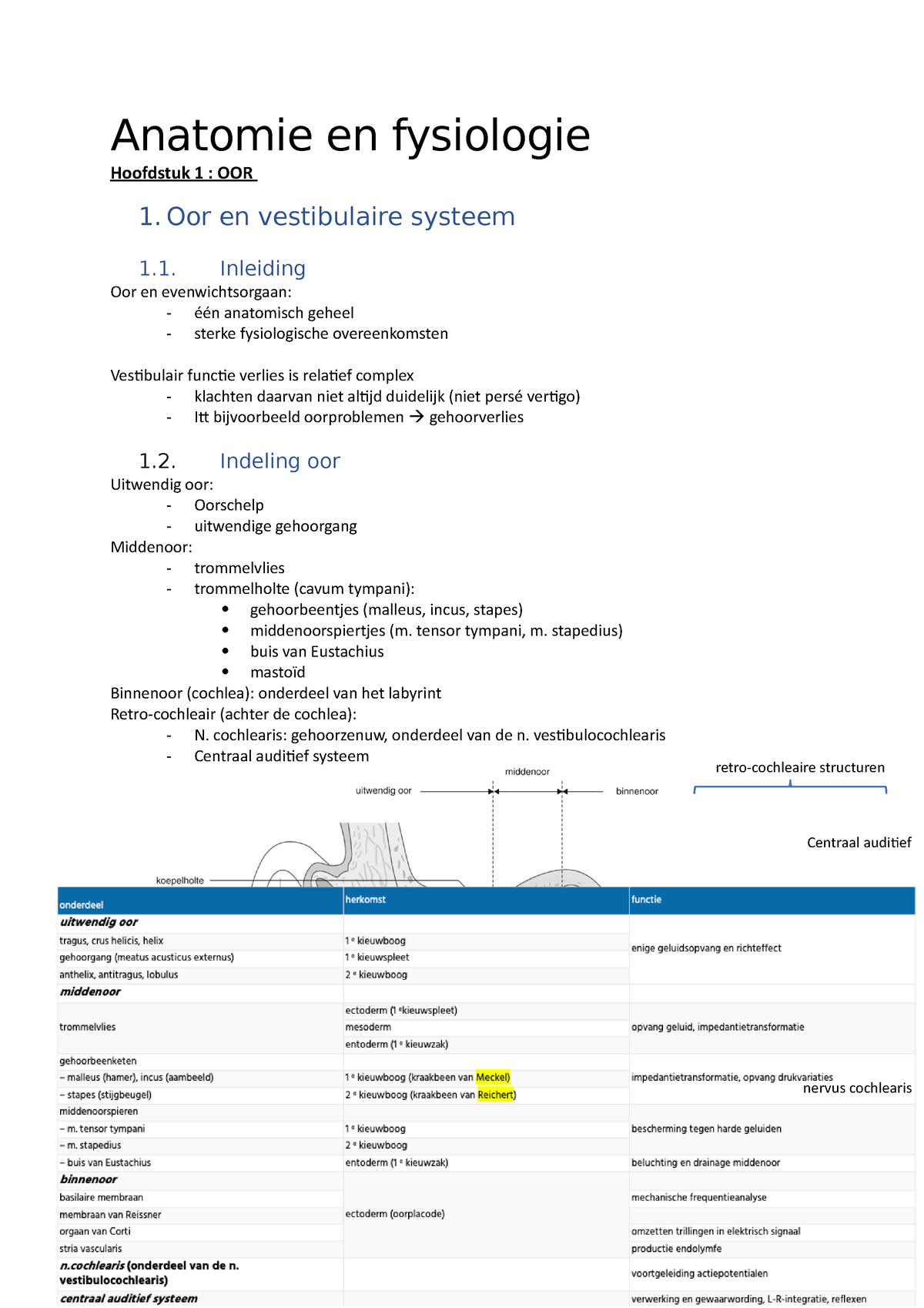 Samenvatting Anatomie En Fysiologiezelf Anatomie En Fysiologie