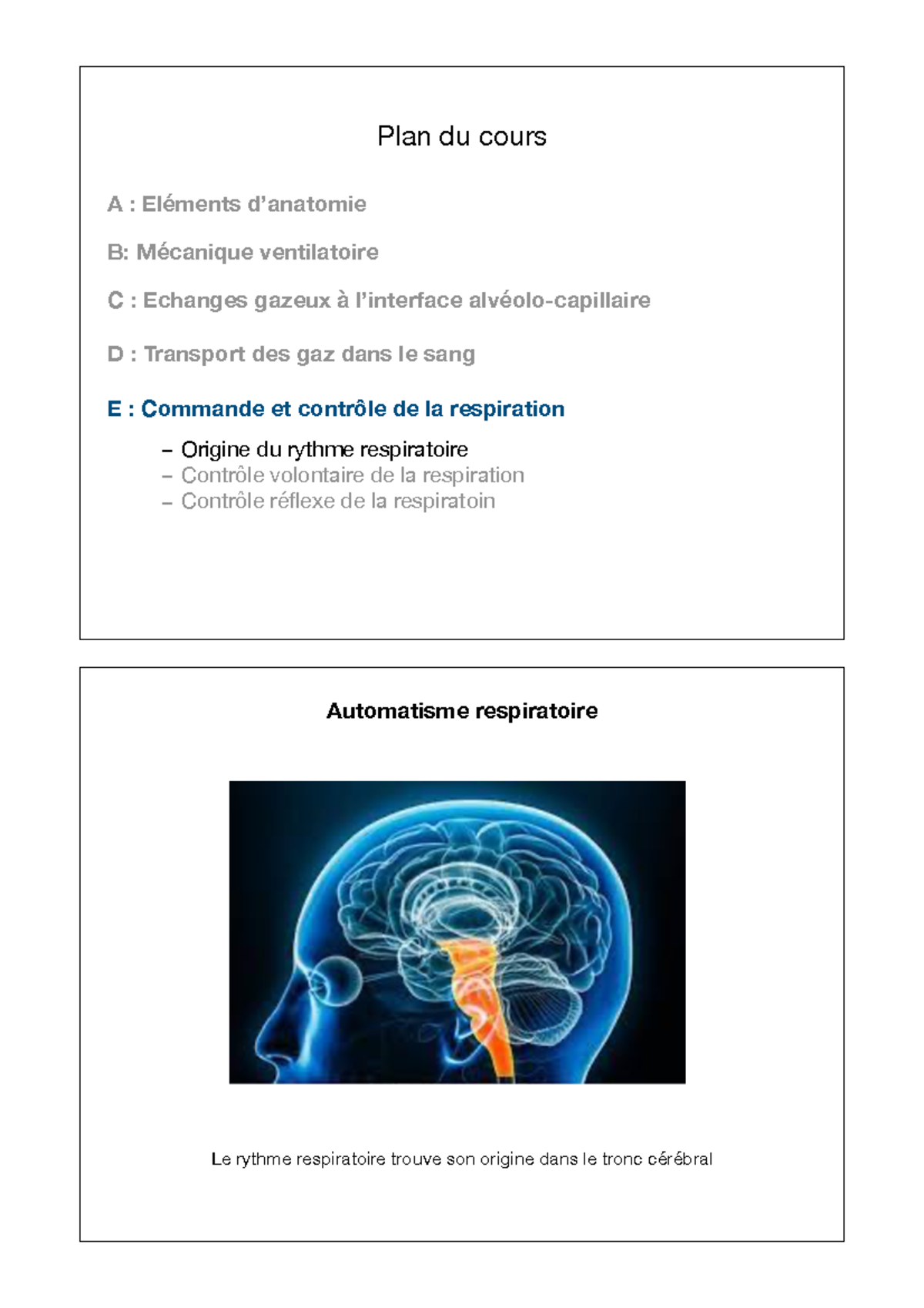 Support De Cours Respiration #3 L1 Staps - Plan Du Cours A : Eléments D ...