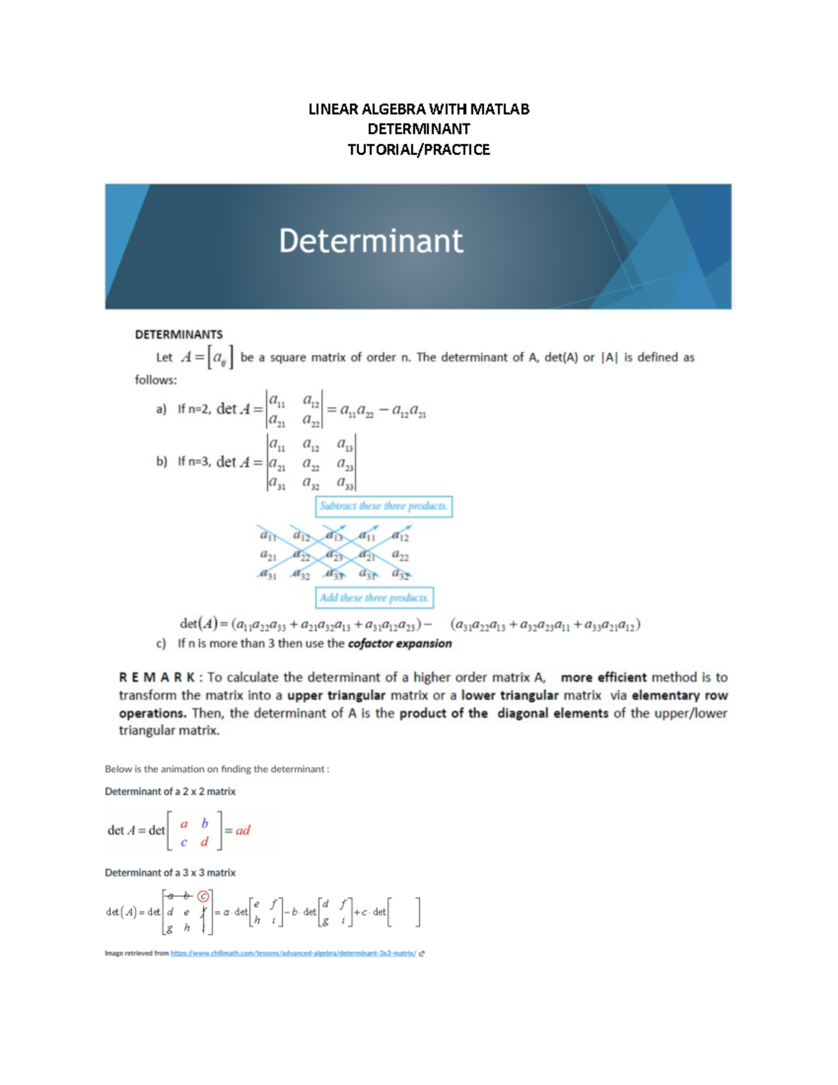 Linear Algebra WITH Matlab. Determinant - Linear Algebra With Matlab ...