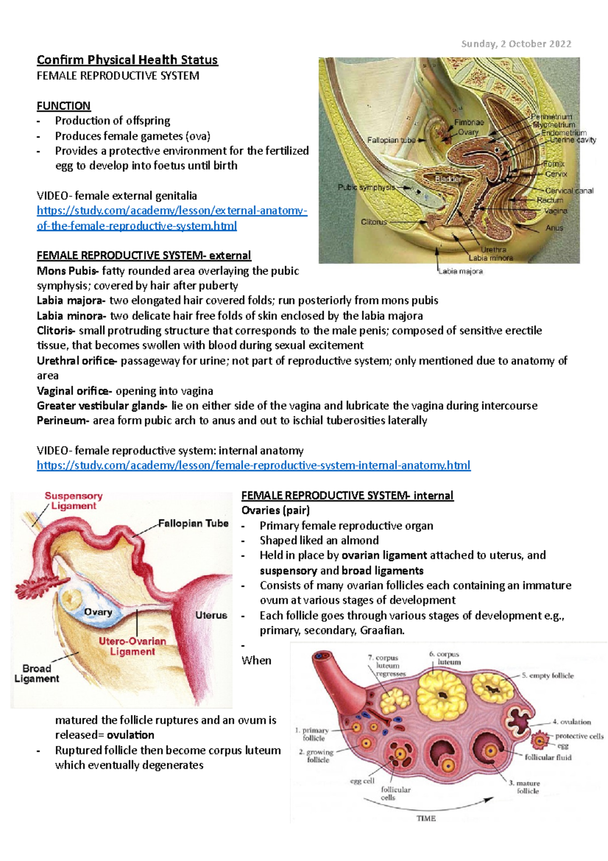 CPHS- Female Reproductive System - HLT54115 - TAFE NSW - Studocu