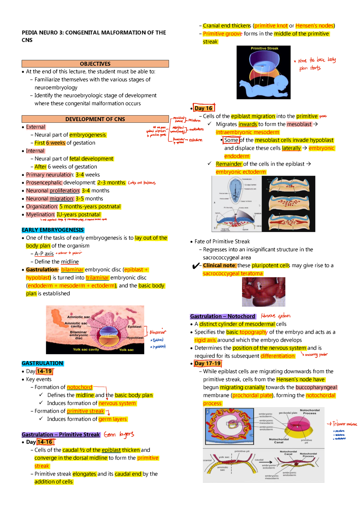 Pediatrics-Congenital Malformation of CNS - New Era University PEDIA ...