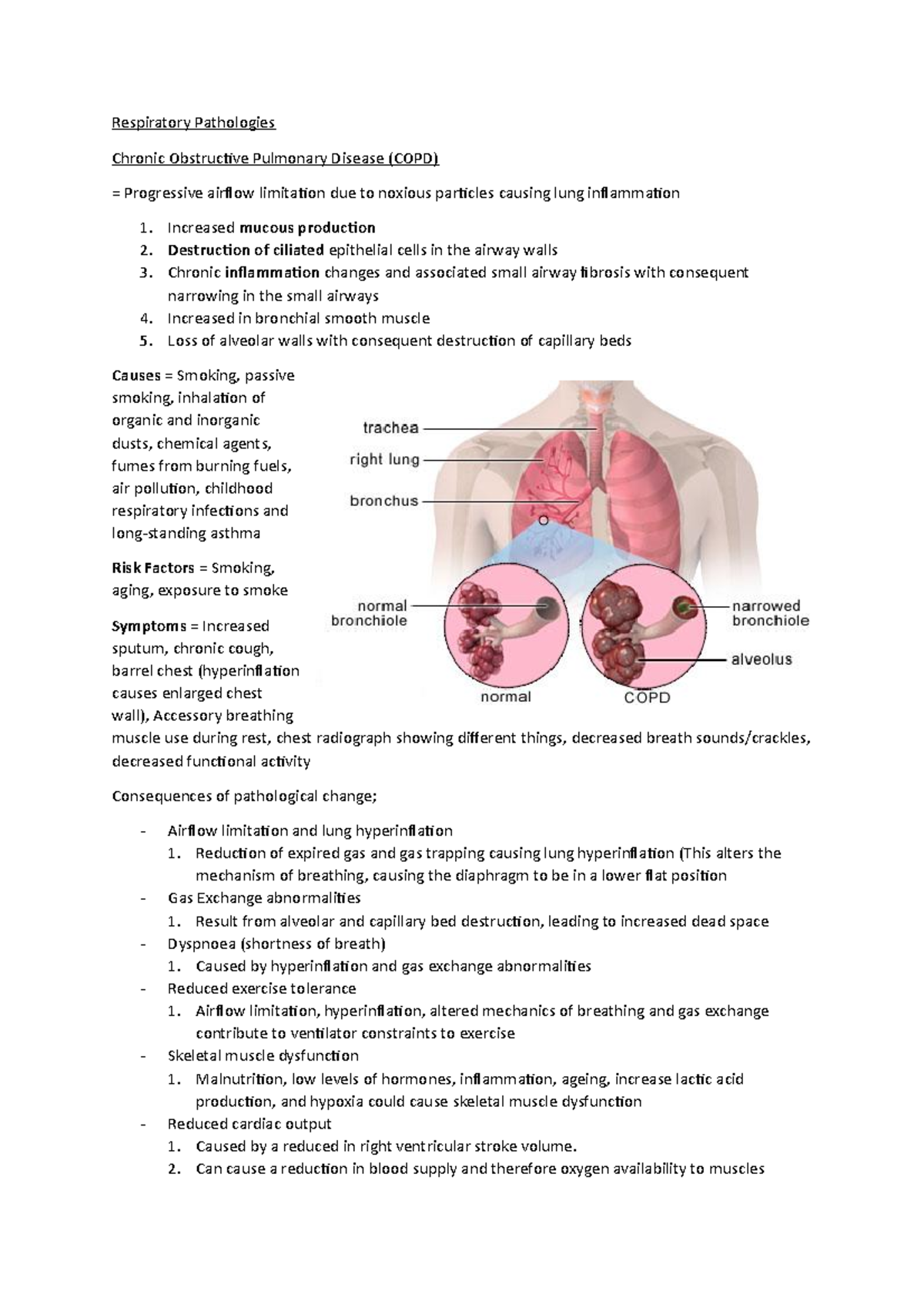 Respiratory Pathologies - COPD - Respiratory Pathologies Chronic ...