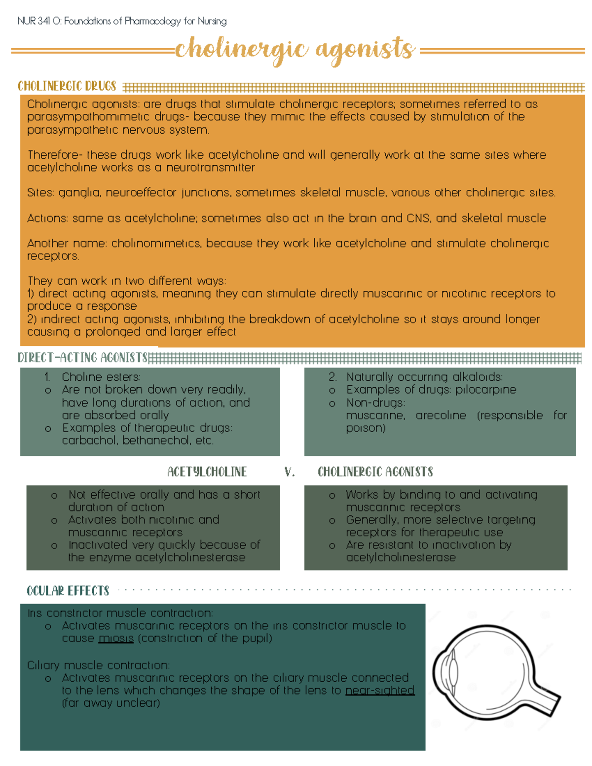 pharm-notes-3-1-final-cholinergic-agonists-nur-341-o-foundations-of