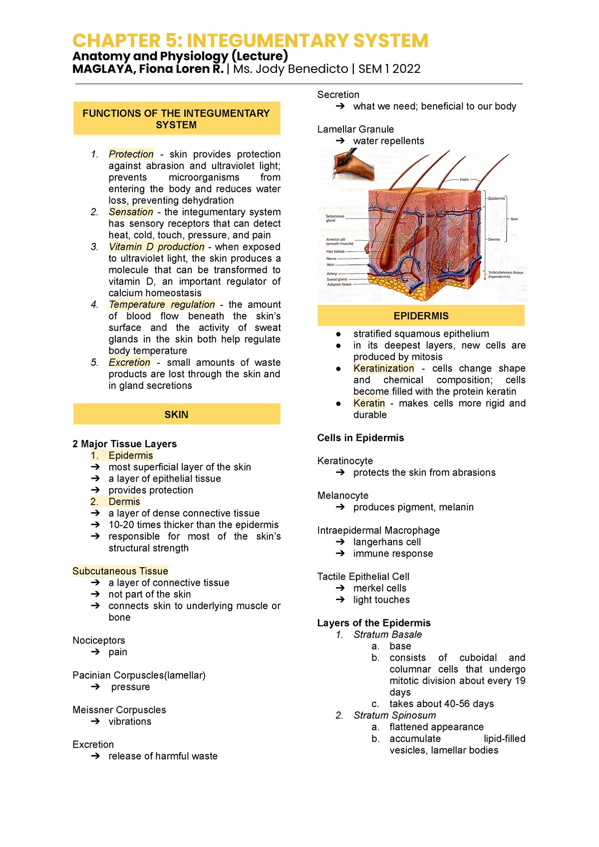 Anaphy-5 - Chapter 5: Integumentary System - CHAPTER 5: INTEGUMENTARY ...