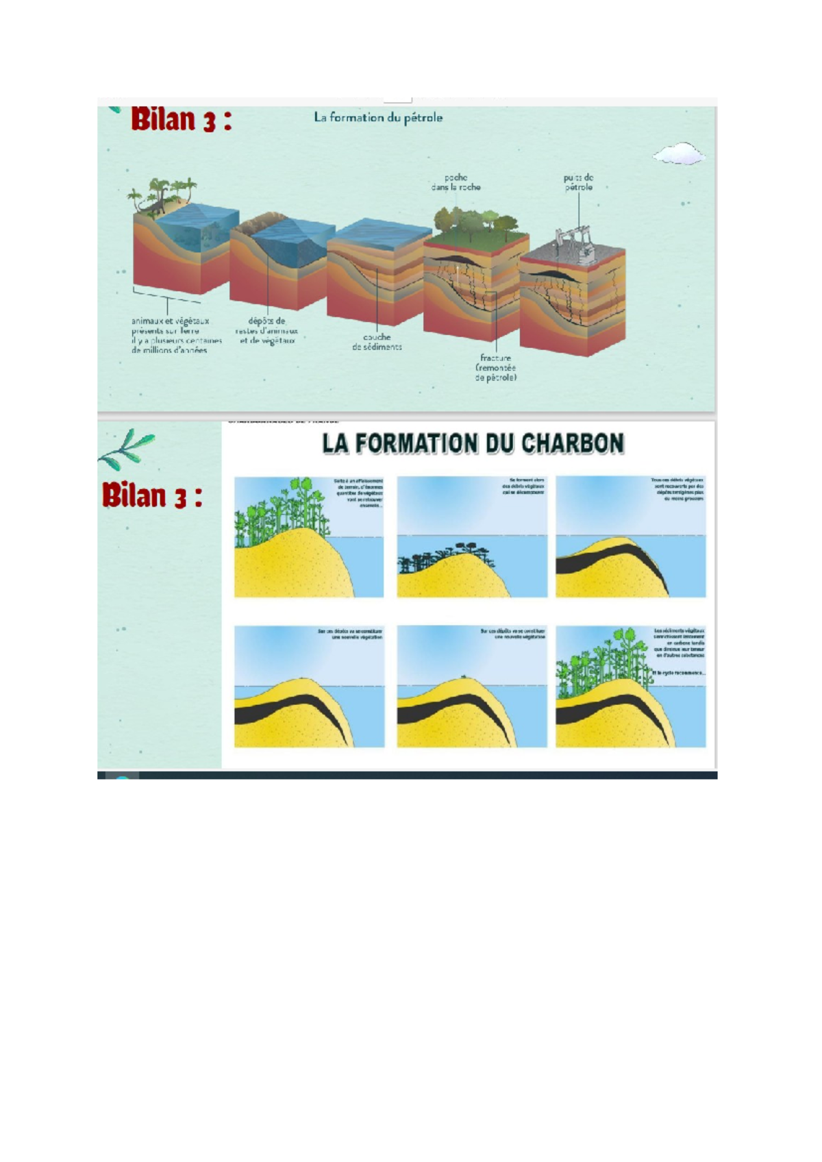 Schema 1 ere Cap 1 Cours Bilan 3 La formation du pétrole poche — free download