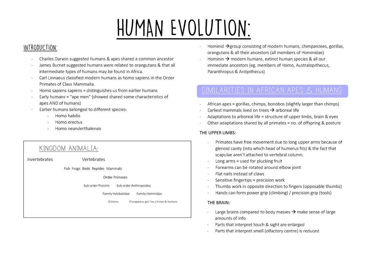 research paper on human evolution