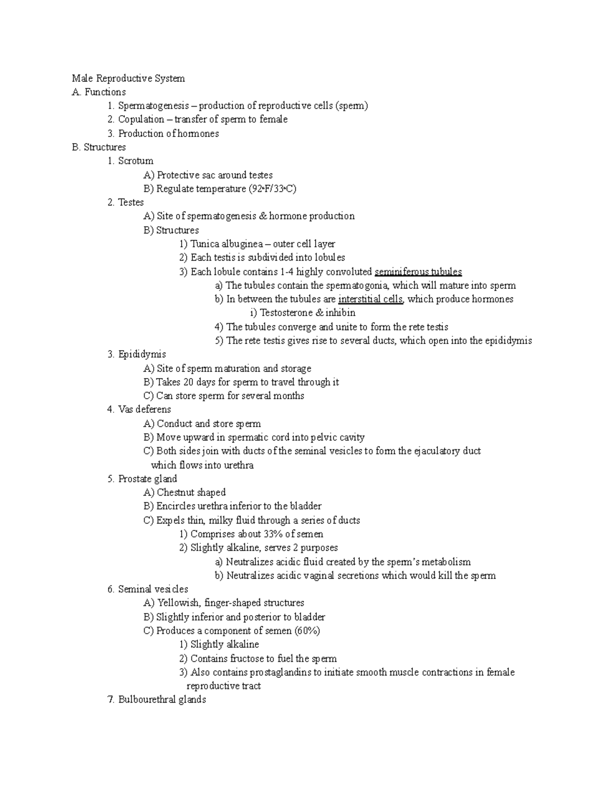 Male Reproductive System Notes - Male Reproductive System A. Functions ...