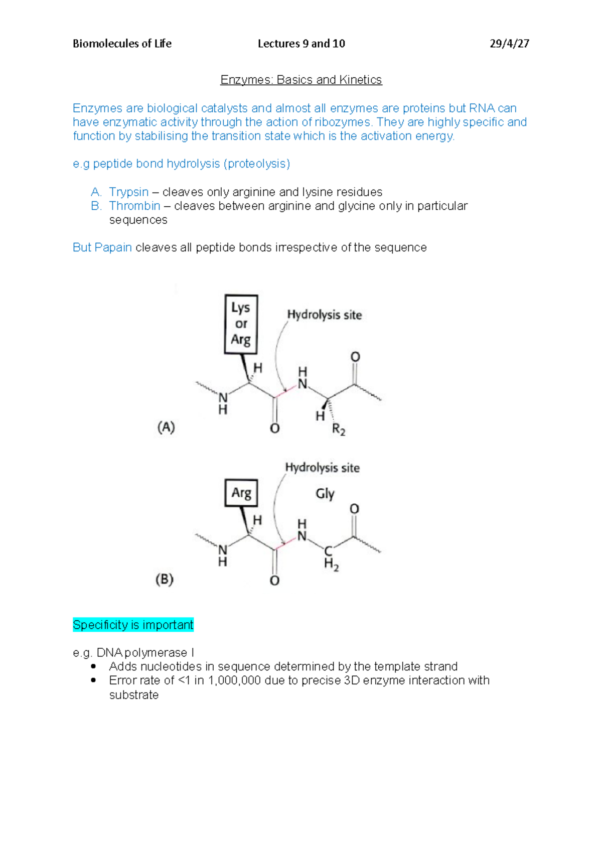 Enzyme Lecture notes 9 Biomolecules of Life Lectures 9 and