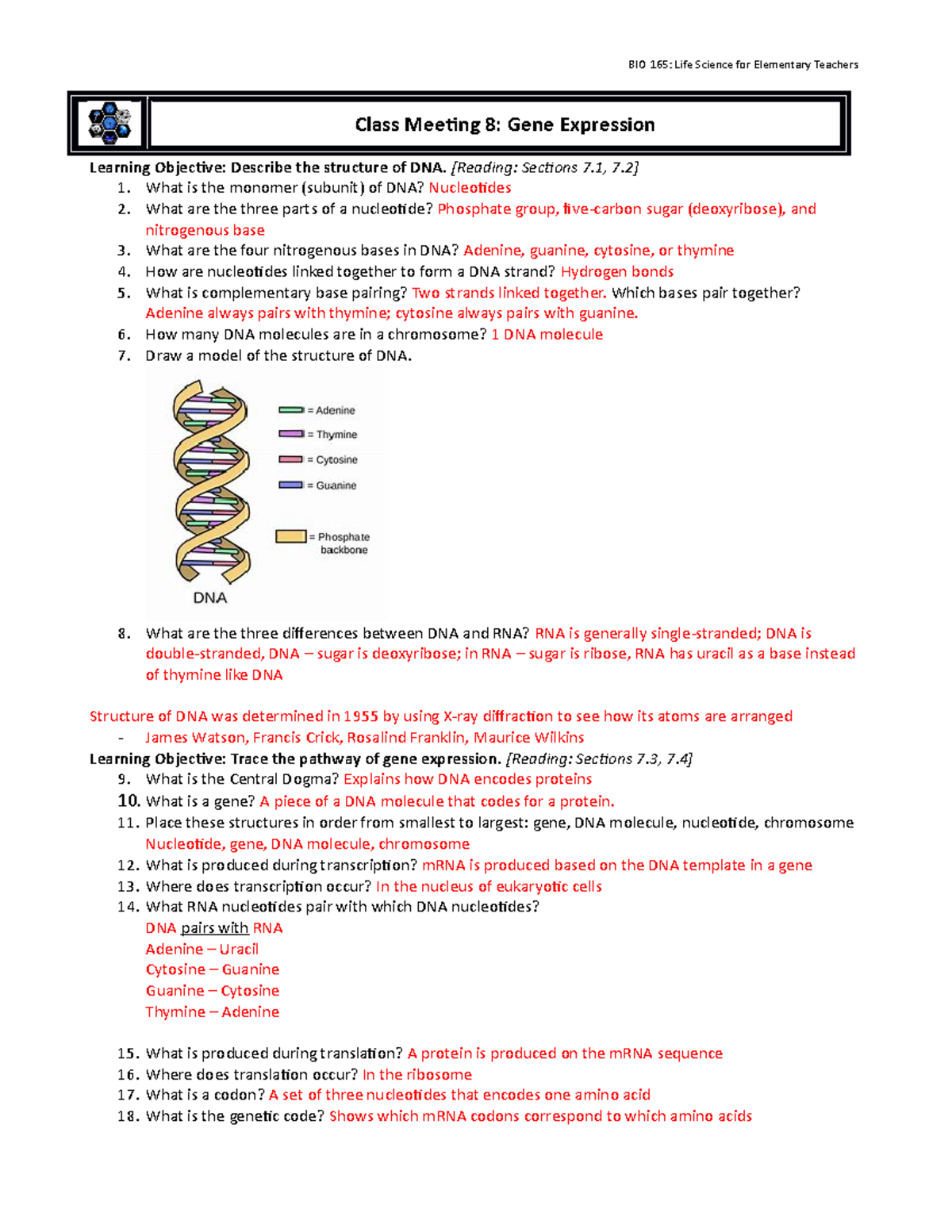 8 - Gene Expression - BIO 165: Life Science for Elementary Teachers ...