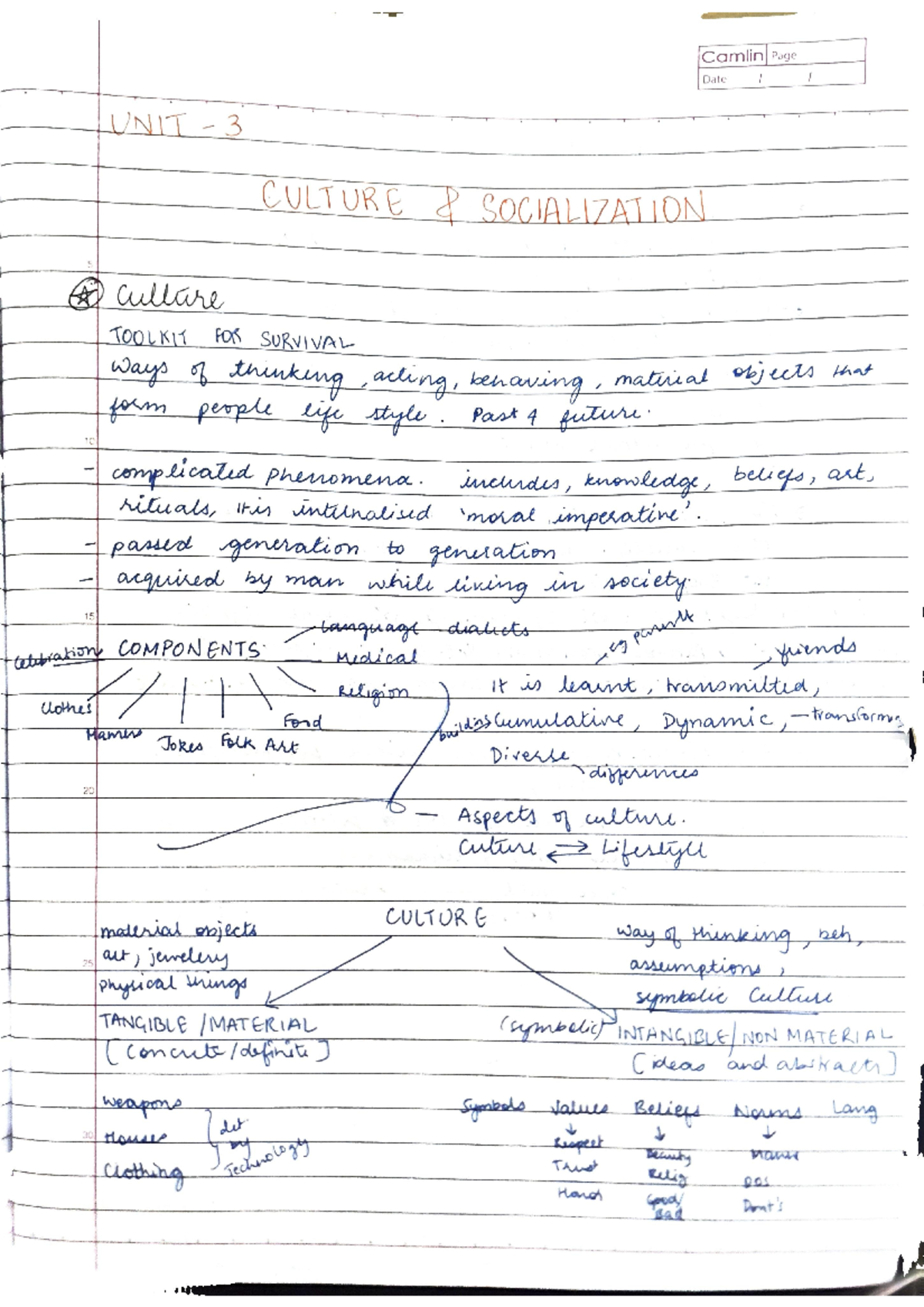 Socialization (Notes) - Foundations of Sociology - 1 - Studocu