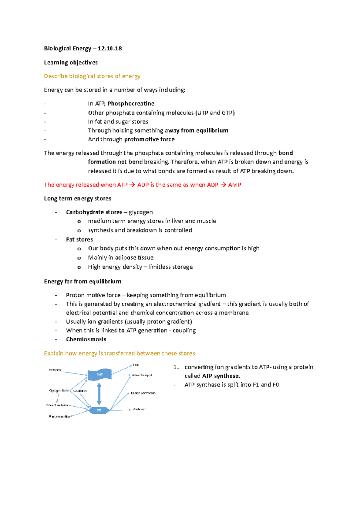 Biological Energy A100 Funmed Biological Energy 12. Learning