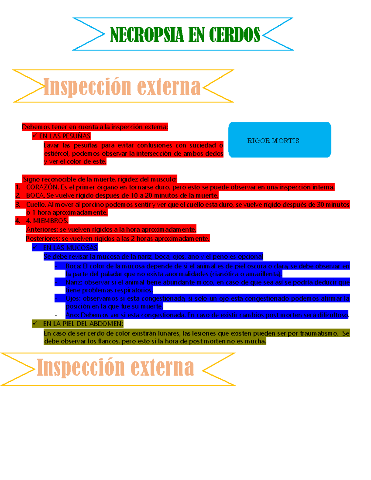 Necropsia DEL Cerdo - NECROPSIA EN CERDOS Inspección Externa Debemos ...