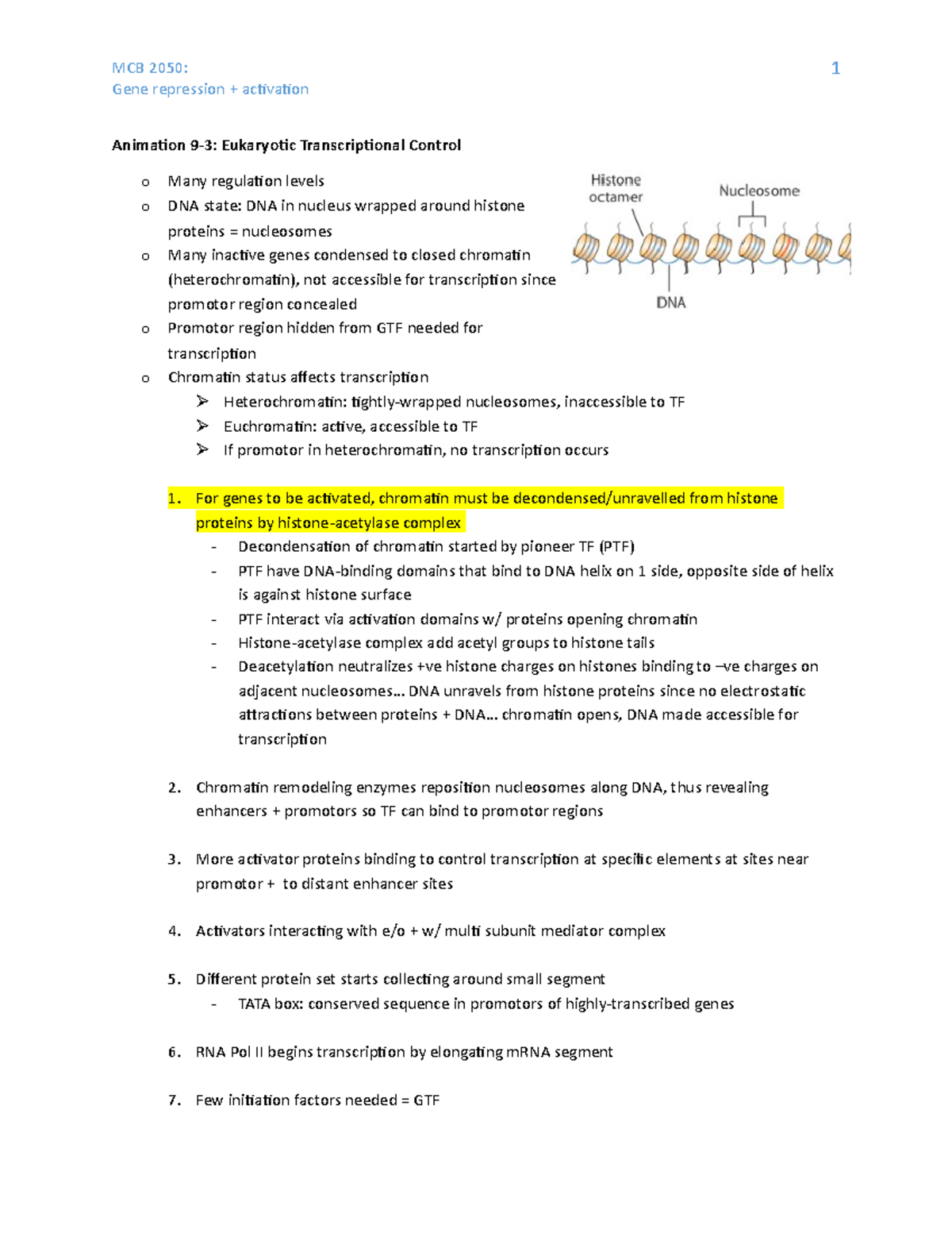2 Gene repression and activation - MCB 2050: Gene repression activation ...