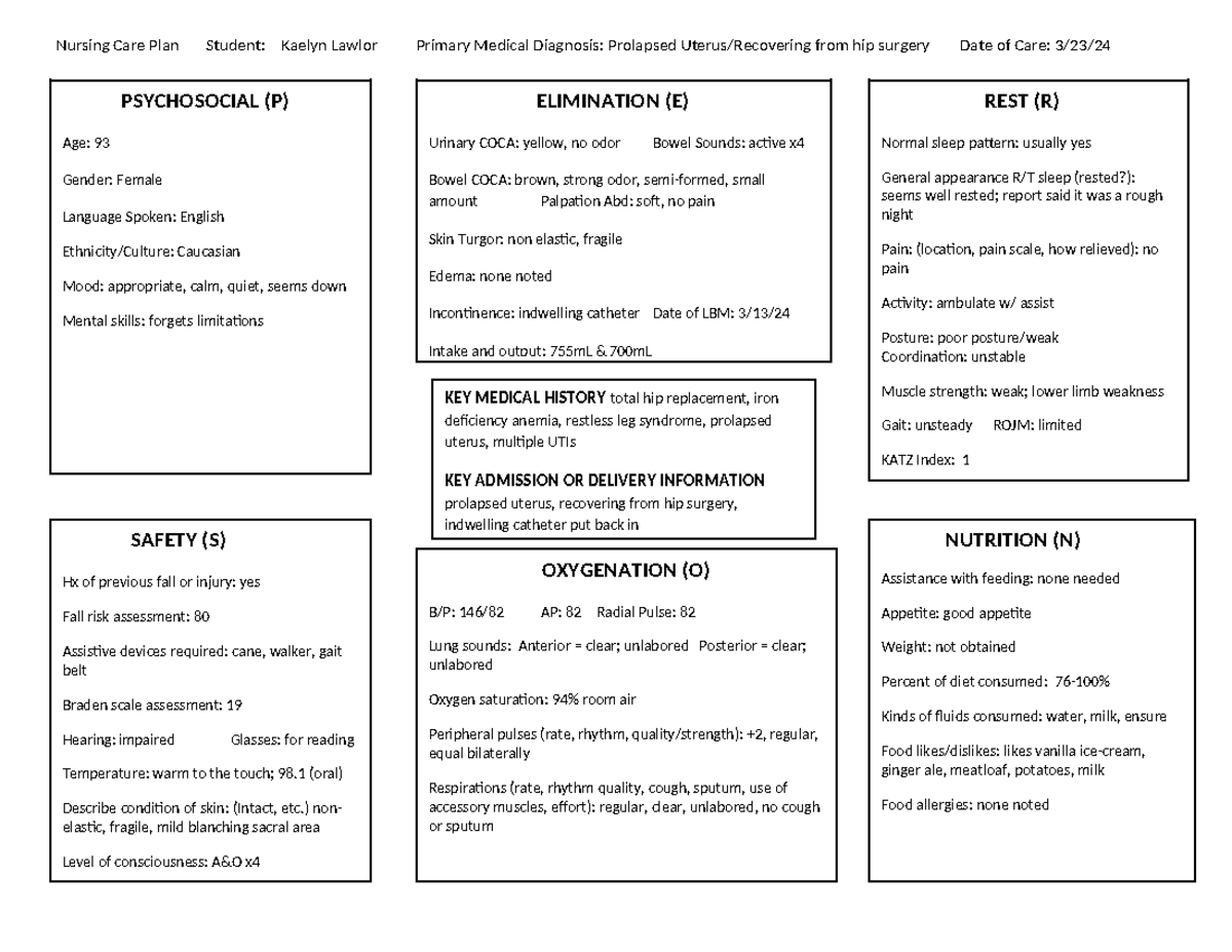Nursing Care Plan Homework - PSYCHOSOCIAL (P) Age: 93 Gender: Female ...