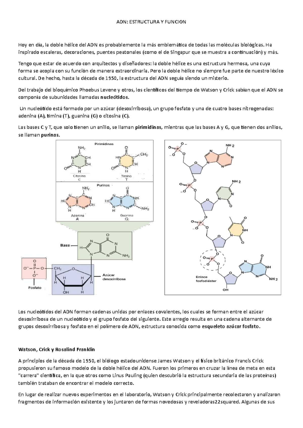 ADN Estructura Y Funcion - ADN: ESTRUCTURA Y FUNCION Hoy en día, la
