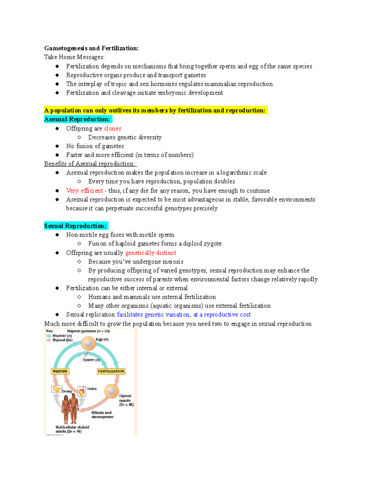 (6). Gametogenesis Fertilization - Gametogenesis and Fertilization ...