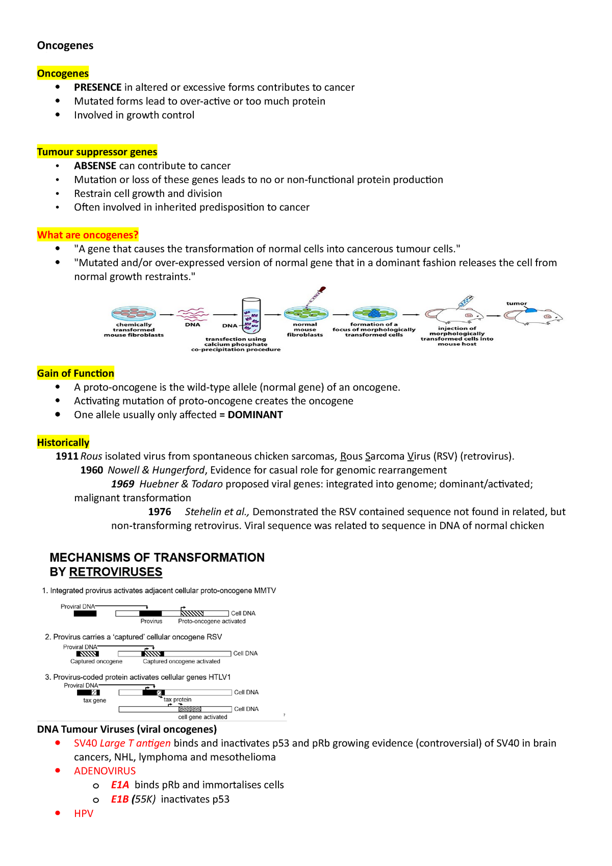 oncogenes-lecture-notes-2-4-oncogenes-oncogenes-presence-in-altered