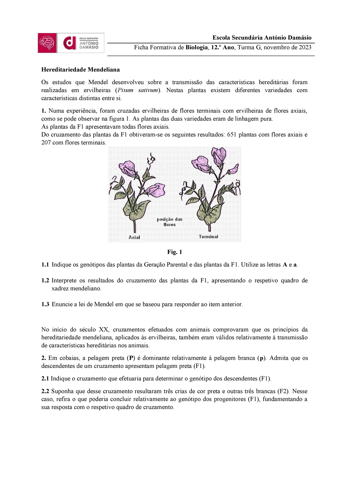 Ficha Formativa BG12 Herditariedade Mendeliana - Escola Secundária ...