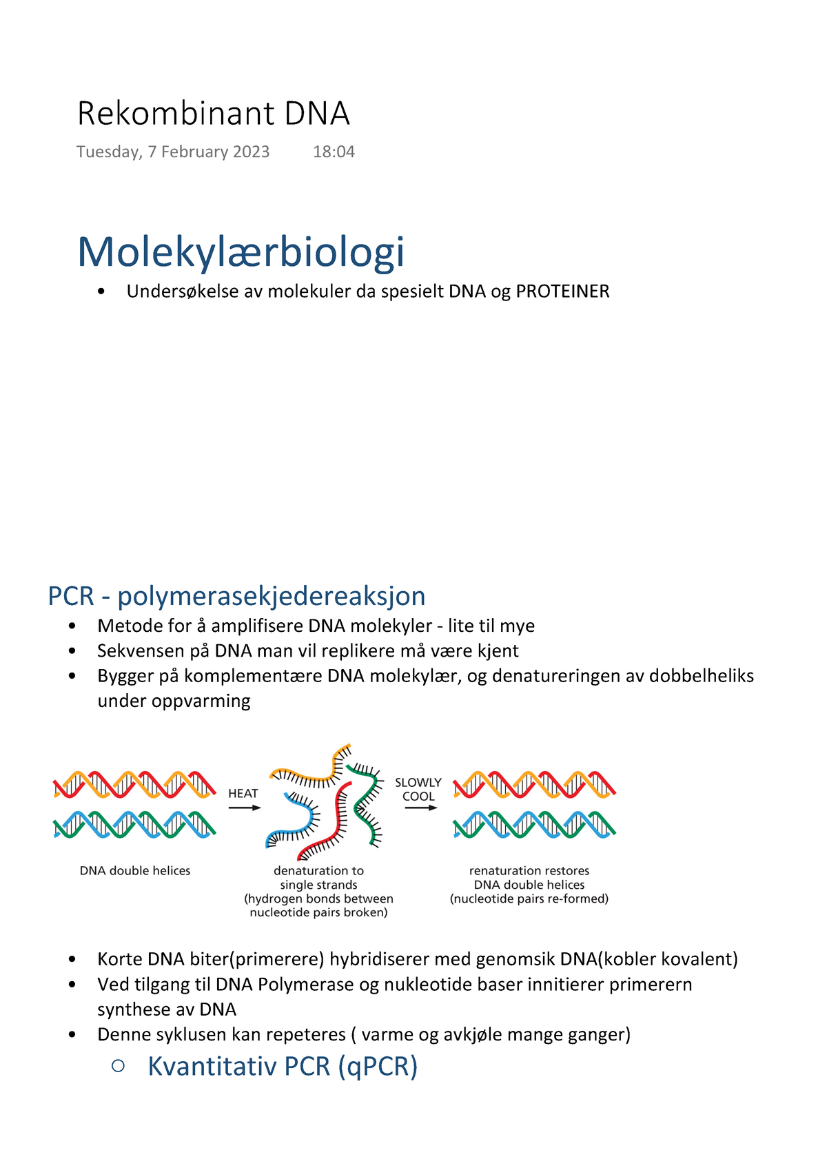 Rekombinant DNA - Sammendrag Fra ECB. - Essential Cell Biology ...