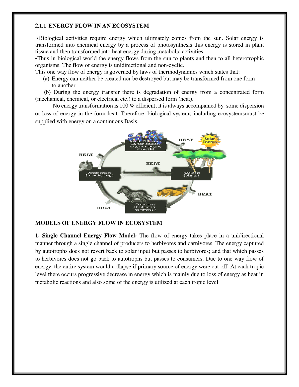 33 - UNIT-II ECOSYSTEM AND BIODIVERSITY - 2.1 ENERGY FLOW IN AN ...