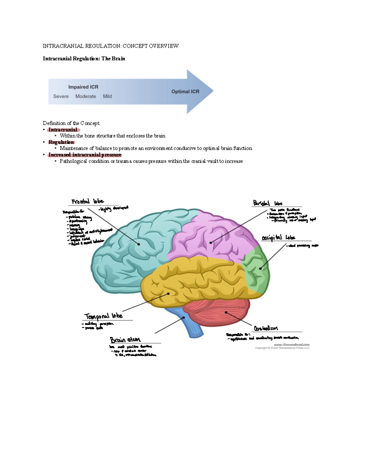 Week 7 Lecture Notes - Intracranial Regulation: Concept Overview ...