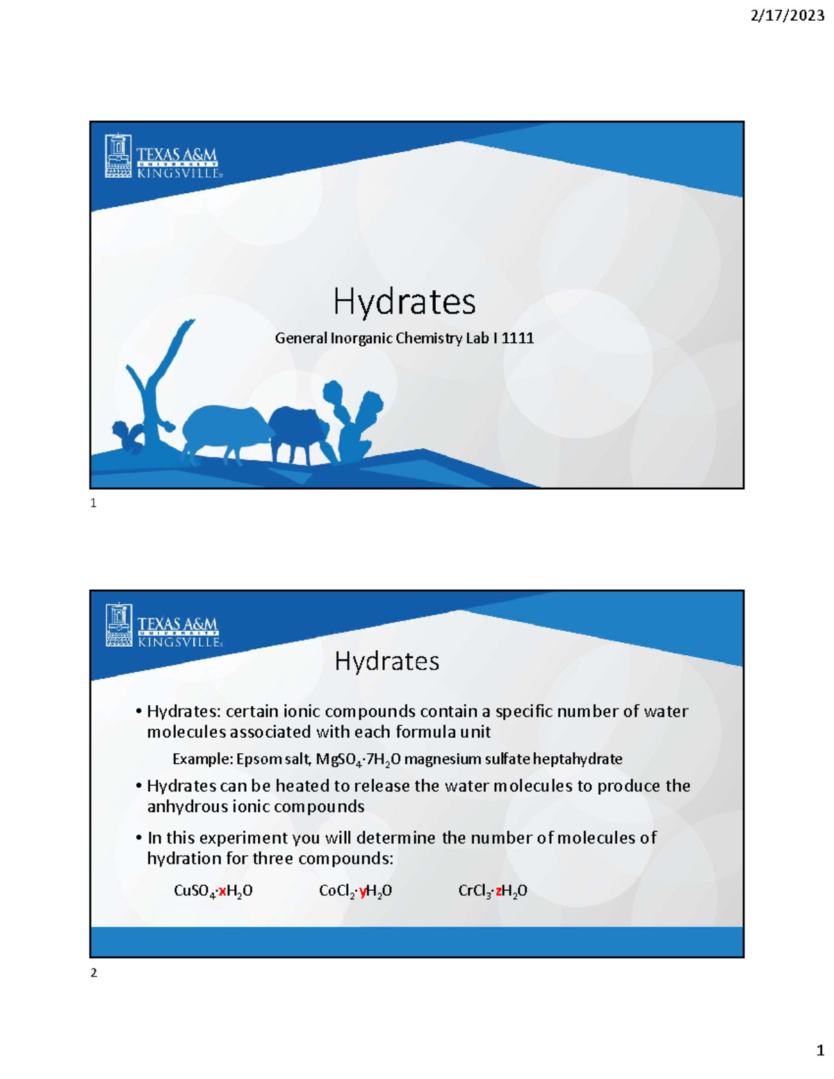 1111 Lab 4 Notes Hydrates General Chemistry Lab I 1111