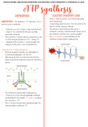 GCSE (9-1) Computer Science J277 02 Computational Thinking Algorithms ...