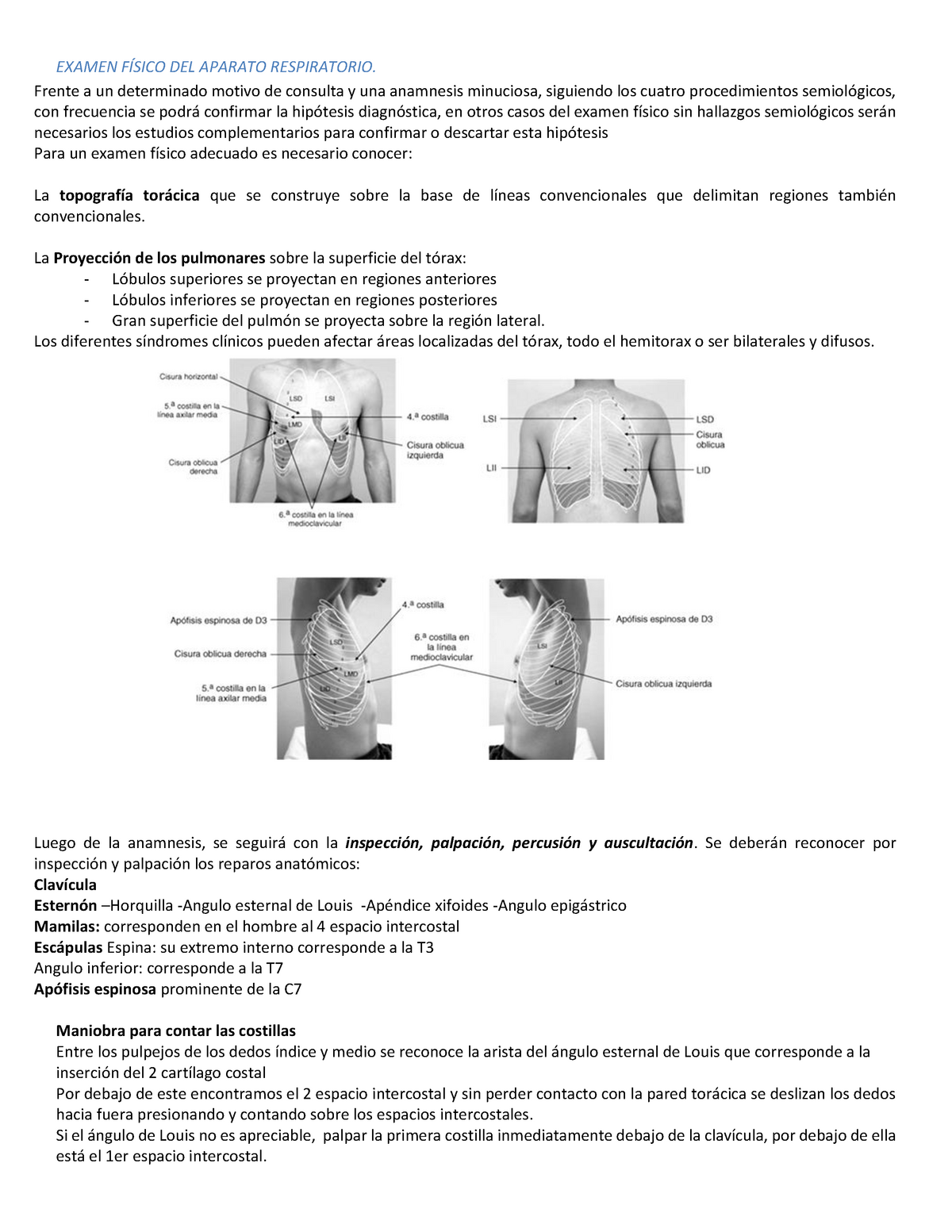 Examen Fisico Respiratorio Semiologia Argente Alvarez Examen FÍsico Del Aparato Respiratorio 7467