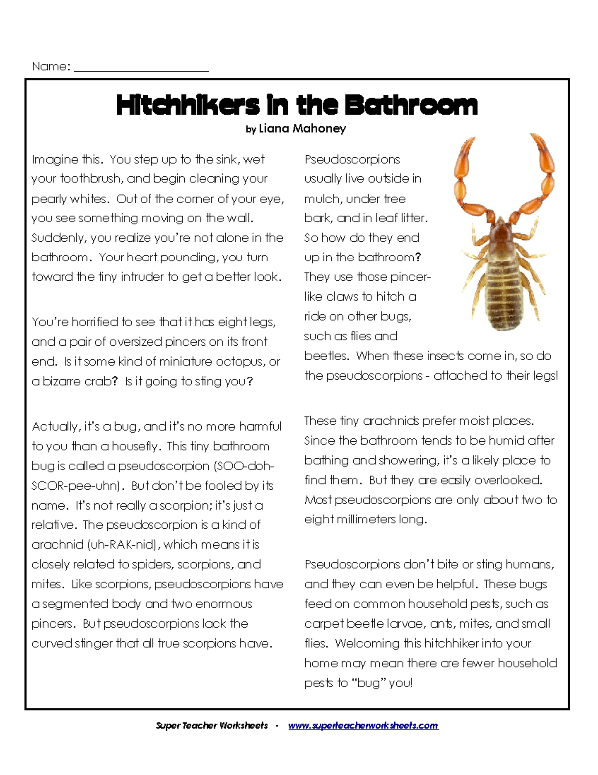 Hitchhikers in the Bathroom comprehension Name