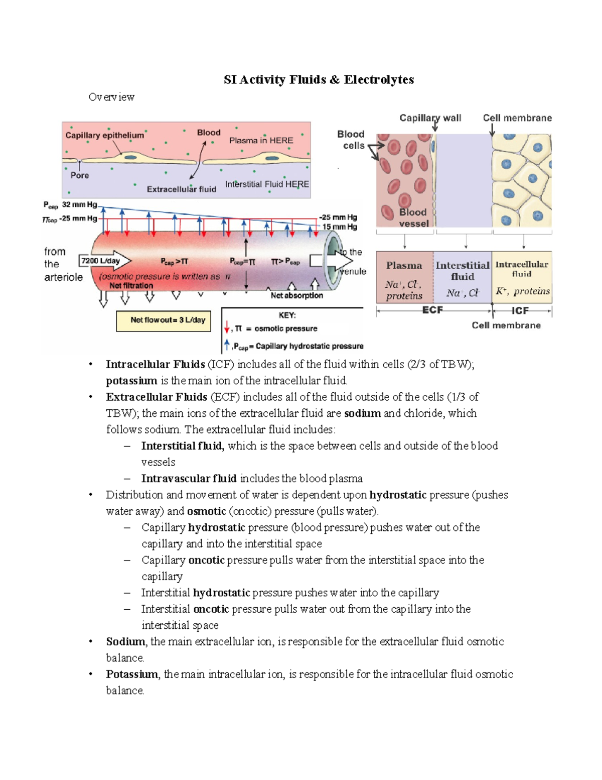 Fluids and Electrolytes SI Activity KEY-2 - SI Activity Fluids ...