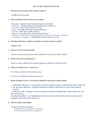 Lab 3 Protein Structure Worksheet - Lab 3: Protein Structure Worksheet What  are the monomers that - Studocu