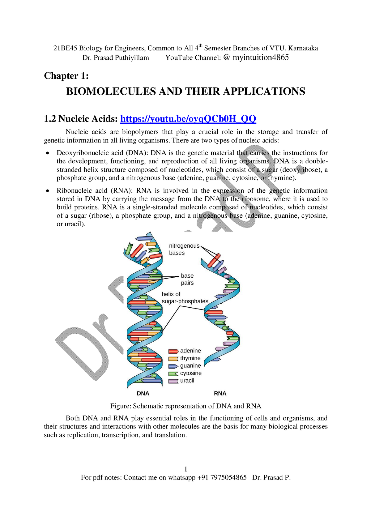 1.2 Nucleic Acids, Biology For Engineers DRP - Dr. Prasad Puthiyillam ...