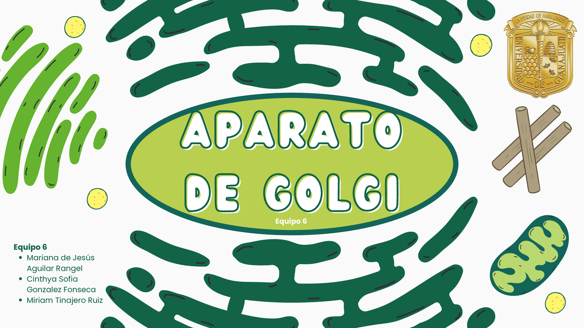 Equipo 6. Aparato de Golgi - APARATOAPARATO DE GOLGI DE GOLGI Equipo 6 ...