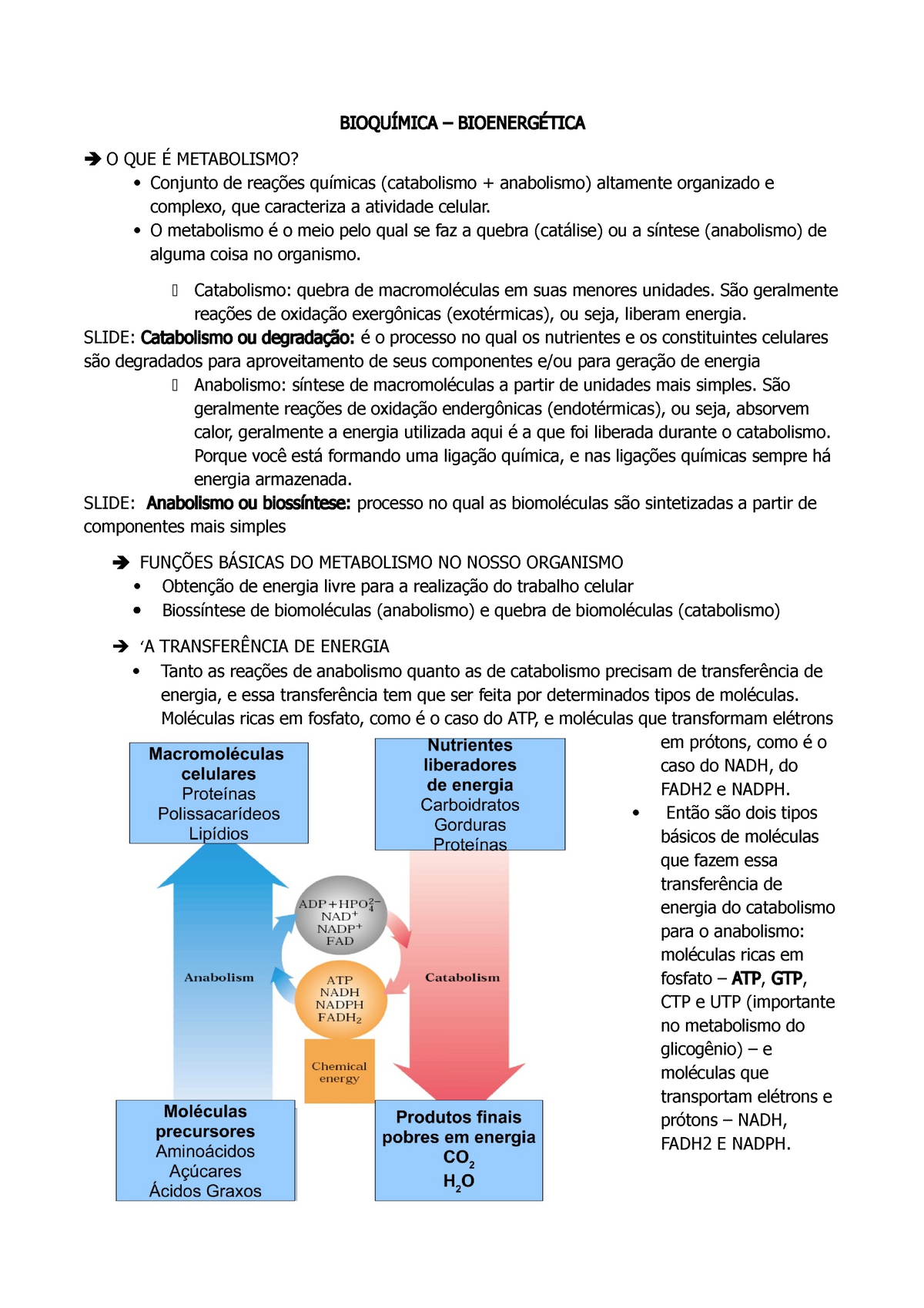 Bioenergética Resumo BioquÍmica O Que Metabolismo Conjunto De