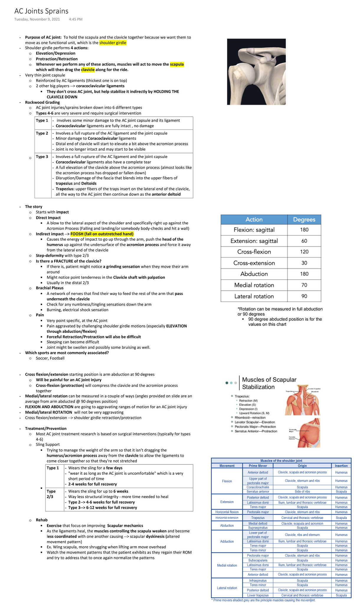 AC Joints Sprains - **Purpose of AC joint: ** To hold the scapula and ...