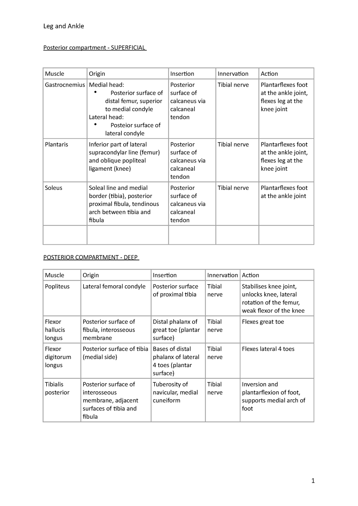 leg-and-ankle-table-leg-and-ankle-posterior-compartment-superficial