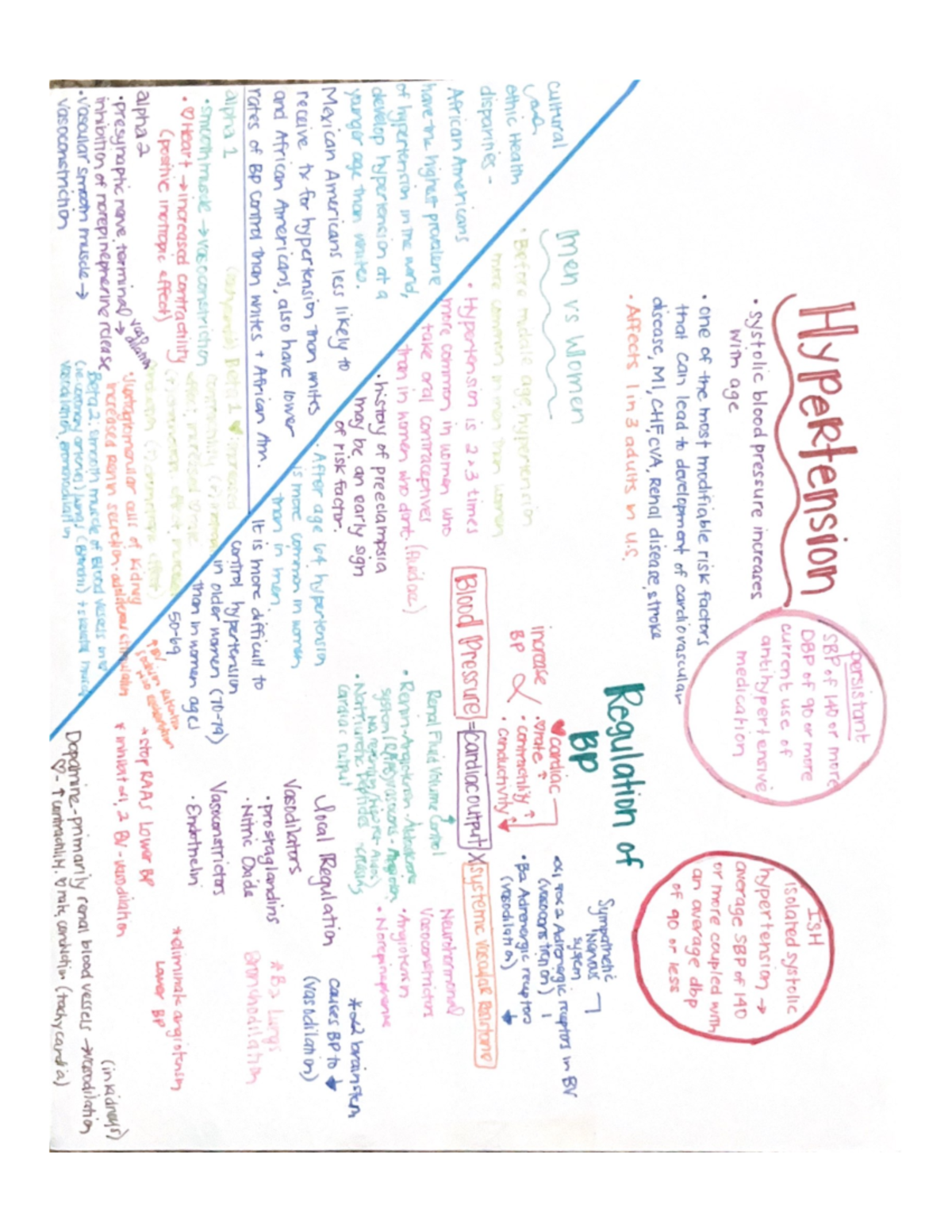 Hypertension and pharm - N480 - Studocu