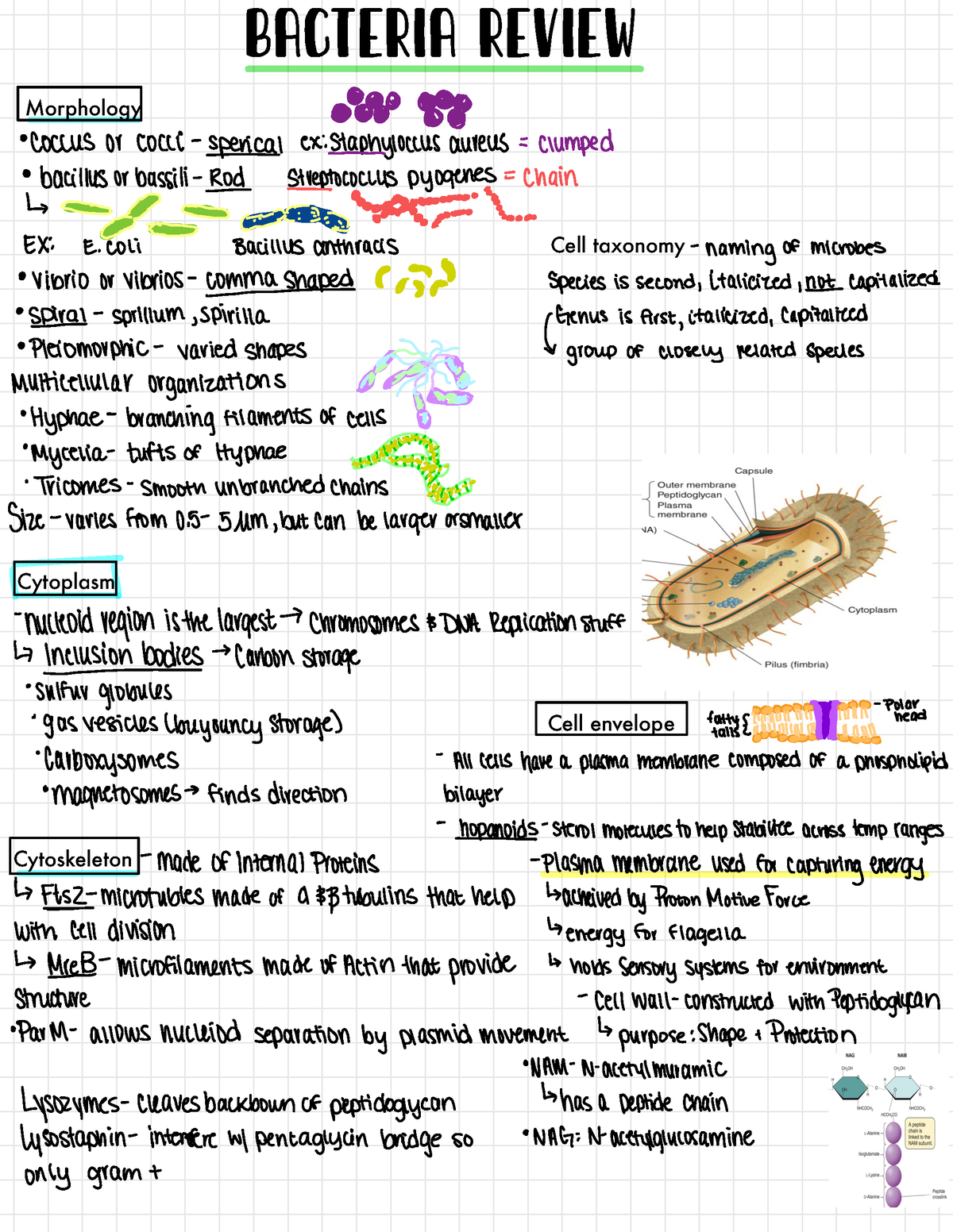 Micro Biology 1 - Good study material that covers concepts about ...