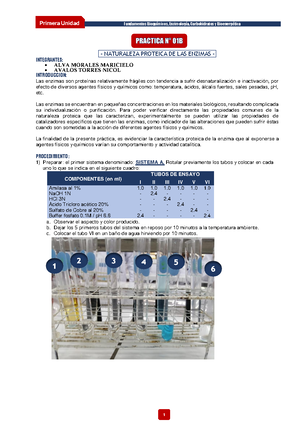 Práctica De Bioquímica Nro 5.docx - FACULTAD CIENCIAS DE LA SALUD ...