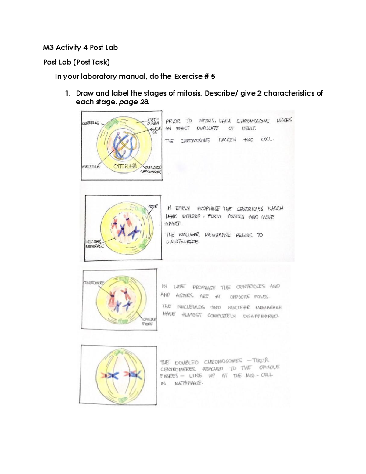 M3 Activity 4 Post Lab - Lecture notes 3 - M3 Activity 4 Post Lab Post ...