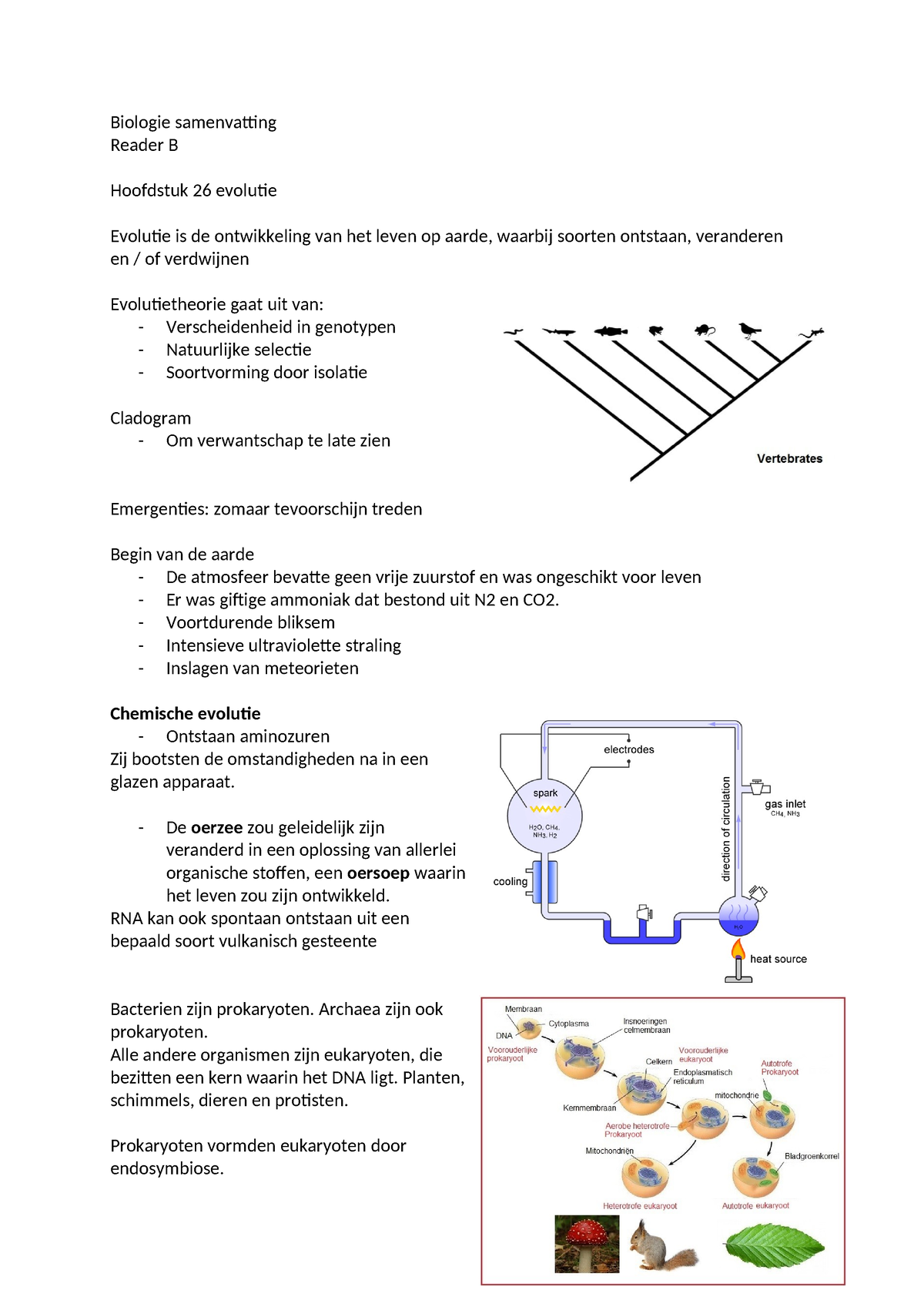 Biologie Samenvatting B - Biologie Samenvatting Reader B Hoofdstuk 26 ...