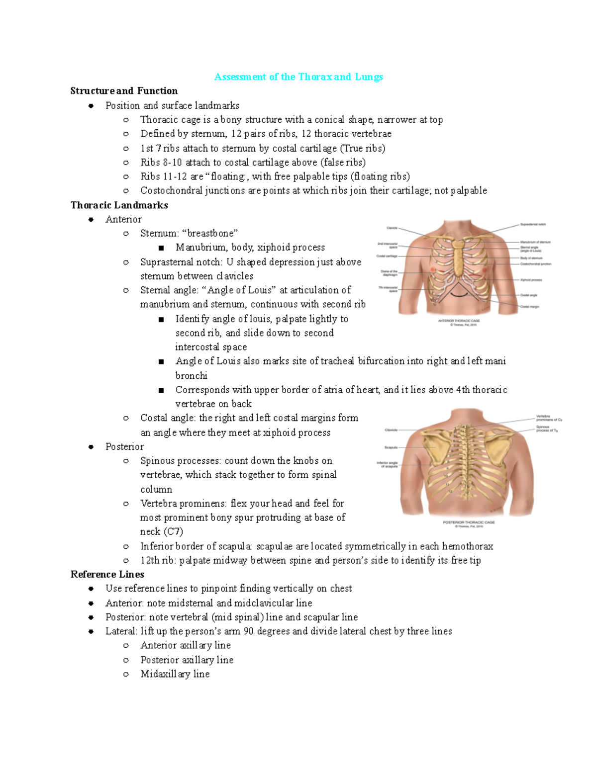 Thorax And Lungs - Assessment Of The Thorax And Lungs Structure And ...