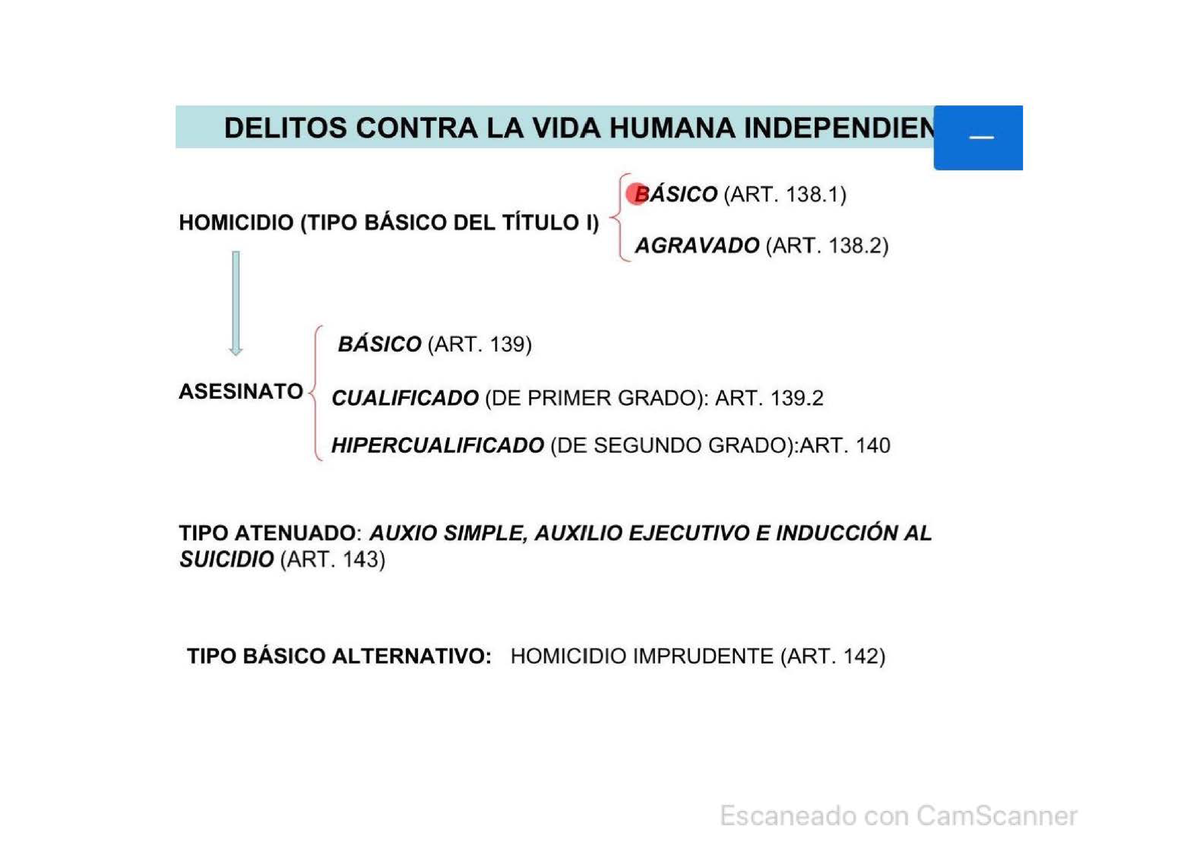 1 Al 5 Penal Diapositivas Delitos Contra La Vida Humana Independie Homicidio Tipo BÁsico