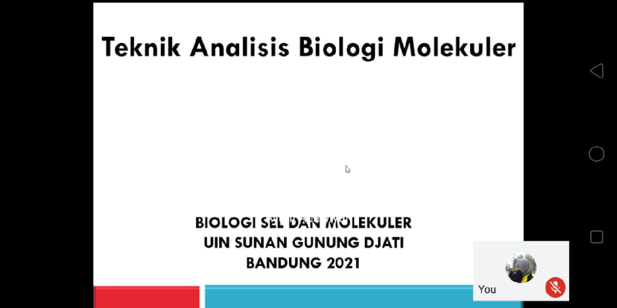 Teknik Analisis Biologi Molekuler - Praktikum Biologi Sel Dan Molekuler ...