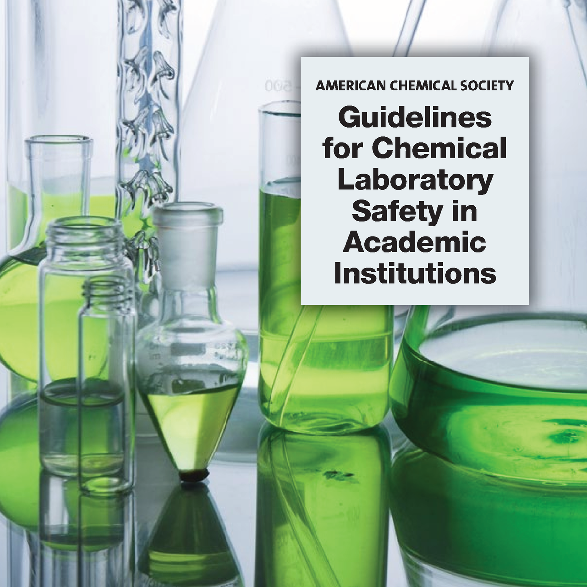 Laboratory guidelines - AMERICAN CHEMICAL SOCIETY Guidelines for ...