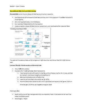Exam 1 Notes - What is Biotechnology? Biotechnology: Using living ...