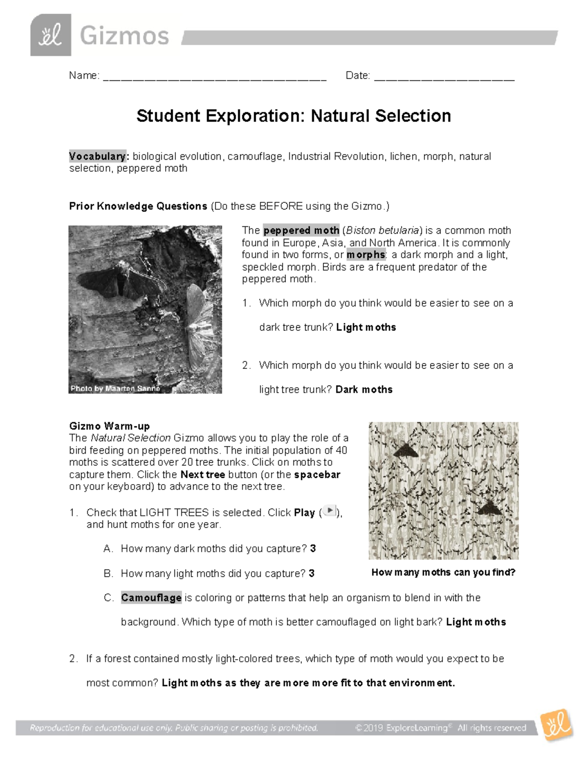 470847223 Student Exploration Natural Selection Gizmo - Name