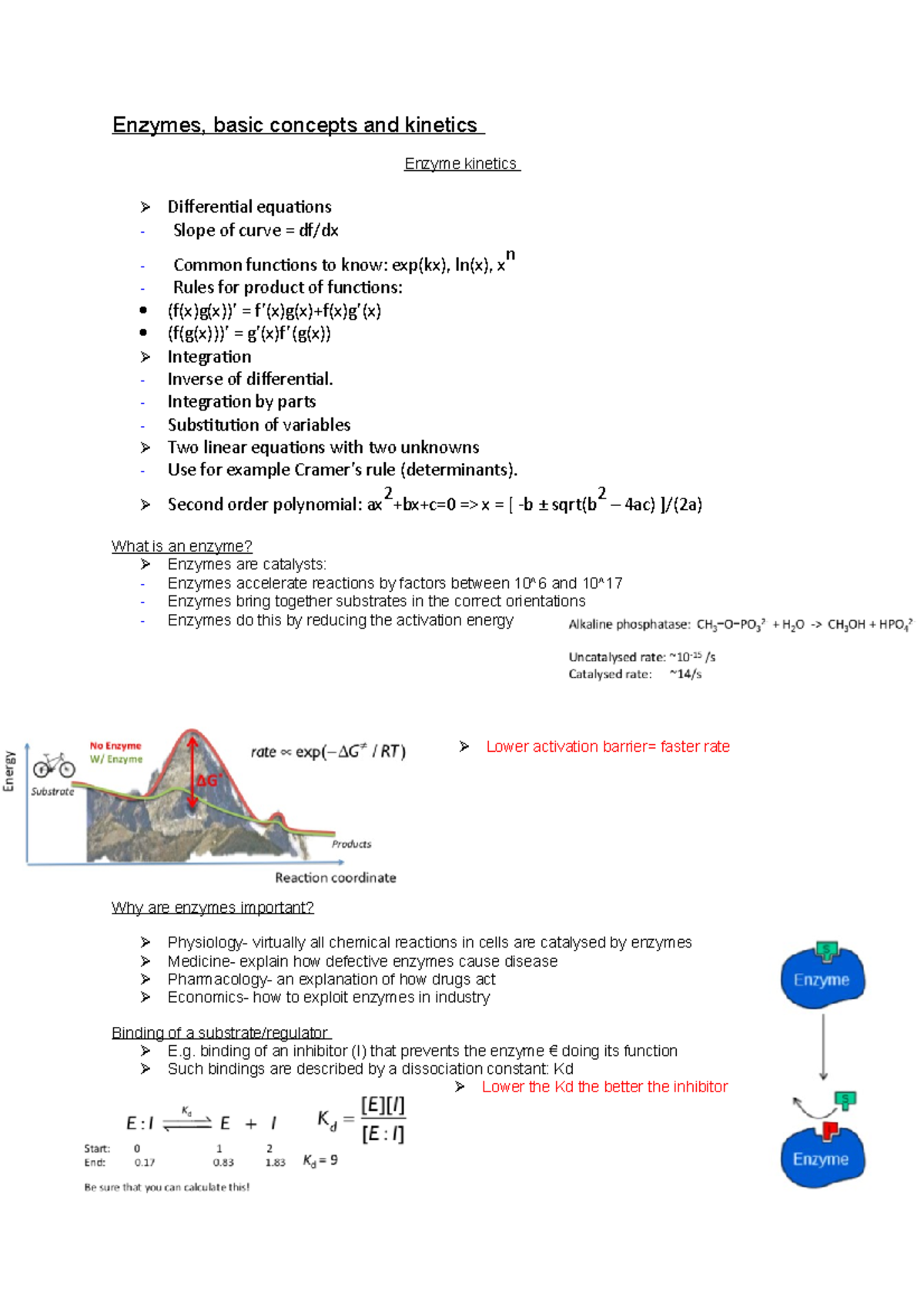 Enzymes, basic concepts and kinetics - Integration by parts ...