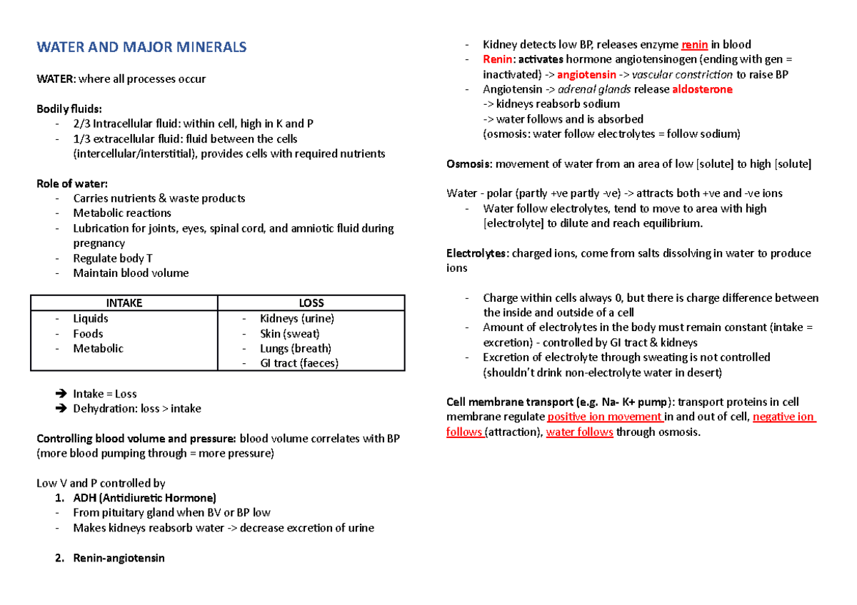 Water, Major minerals and Trace minerals WATER AND MAJOR MINERALS WATER where all processes